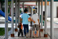 படம்: ஸ்ரெய்ட்ஸ் டைம்ஸ் கோப்புப் படம்