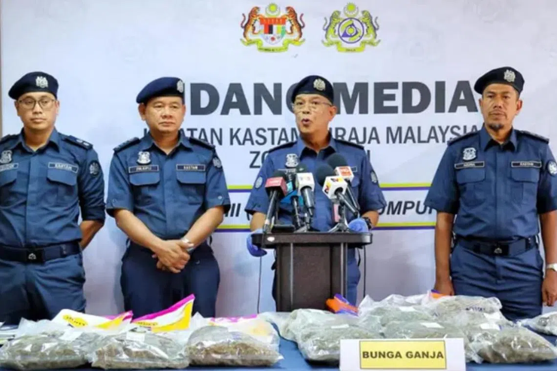 கோலாலம்பூர் விமான நிலையத்தில் $6 மி. கஞ்சா போதைப்பொருள் பறிமுதல்