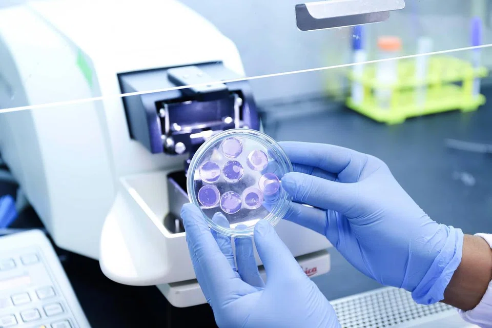 சிங்கப்பூர் ஆய்வாளர்கள் உருவாக்கிய ஹைட்ரோஜெல் (hydrogel) பசை.