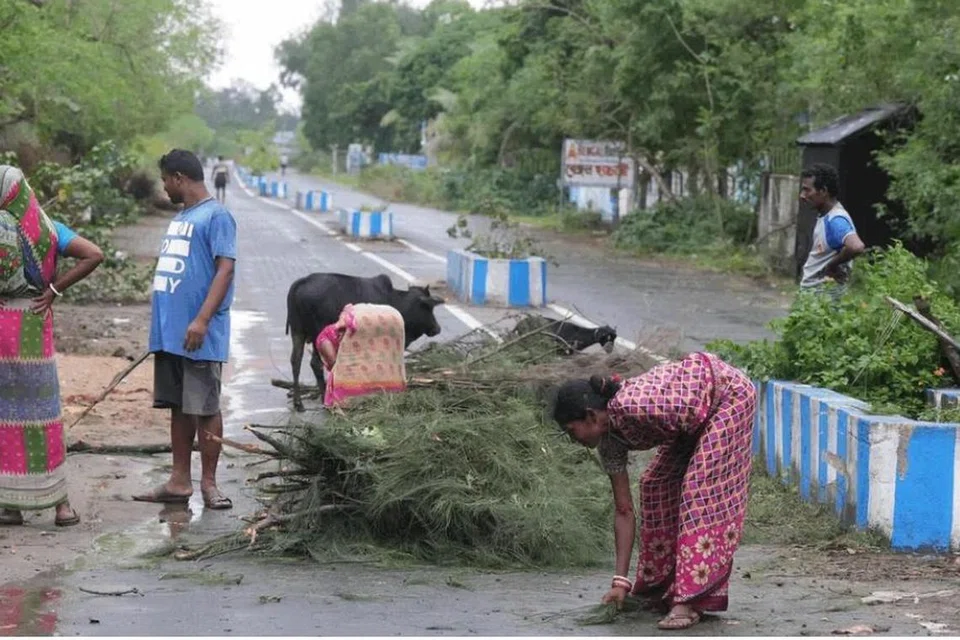 ‘டாணா’ சூறாவளியால் ஒடிசாவின் பல இடங்களில் மரங்கள் வேரோடு விழுந்துள்ளன. அதனால், பெரிய அளவில் மின்கம்பங்கள் சேதமடைந்துள்ளன. 