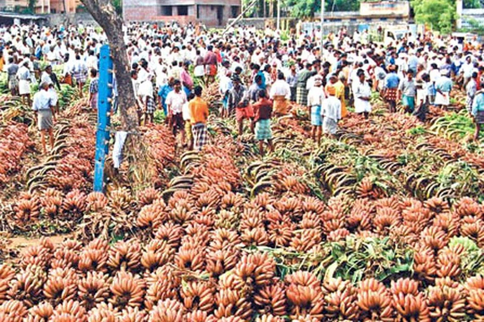 வாழைப்பழச் சந்தை.