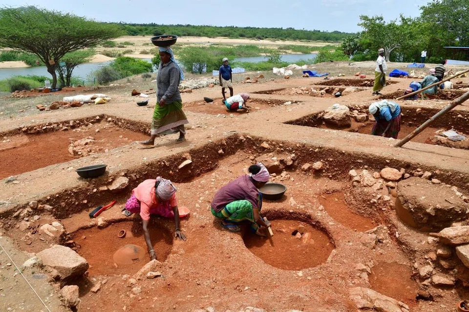 ஆதிச்சநல்லூரில் அகழாய்வுப் பணி நடைபெறும் பகுதி.