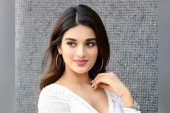 கனவு நனவானது: நிதி அகர்வால்