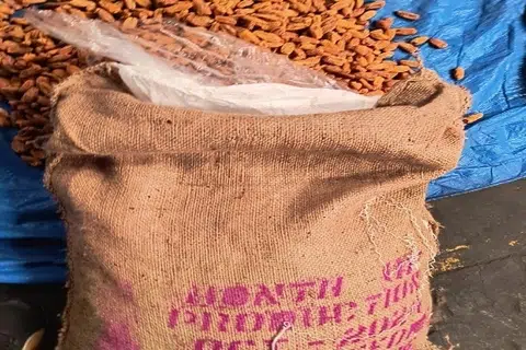பாகிஸ்தானிலிருந்து கள்ளத்தனமாக இறக்குமதி செய்யப்பட்ட உலர்பேரீச்சை.