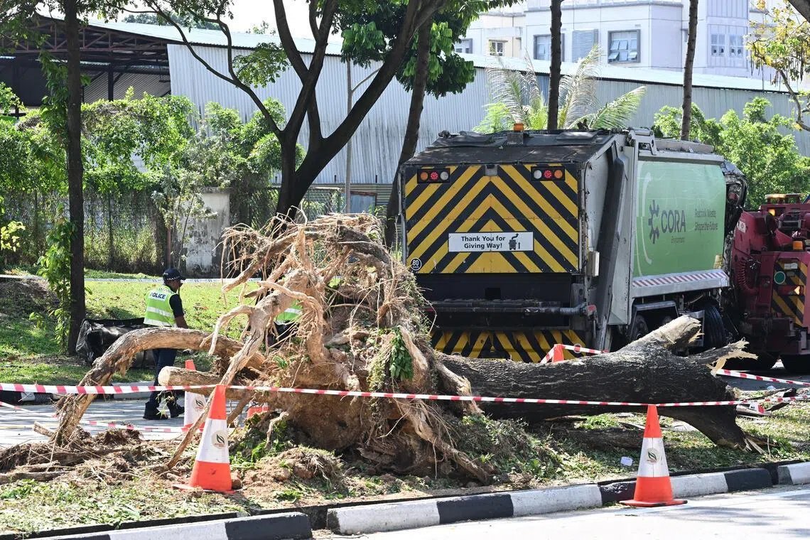 ஹவ்காங்கில் மரத்தின் மீது லாரி மோதிய லாரி; மூவர் மருத்துவமனையில்