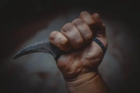 ஆடவர் தாக்குதல் முயற்சியில் ஈடுபடுவதையும் அதிகாரிகள் அவரை மடக்கிப் பிடித்ததையும் காட்டும் காணொளி எக்ஸ் தளத்தில் பதிவேற்றம் செய்யப்பட்டது.