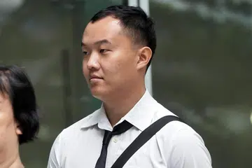 டான் இயூ சின் என்ற 24 வயது ஆடவர் பல்வேறு போலி நிறுவனங்களின் இயக்குநராகத் தம்மைக் காட்டிக்கொள்ள ஒப்புக்கொண்டார். 