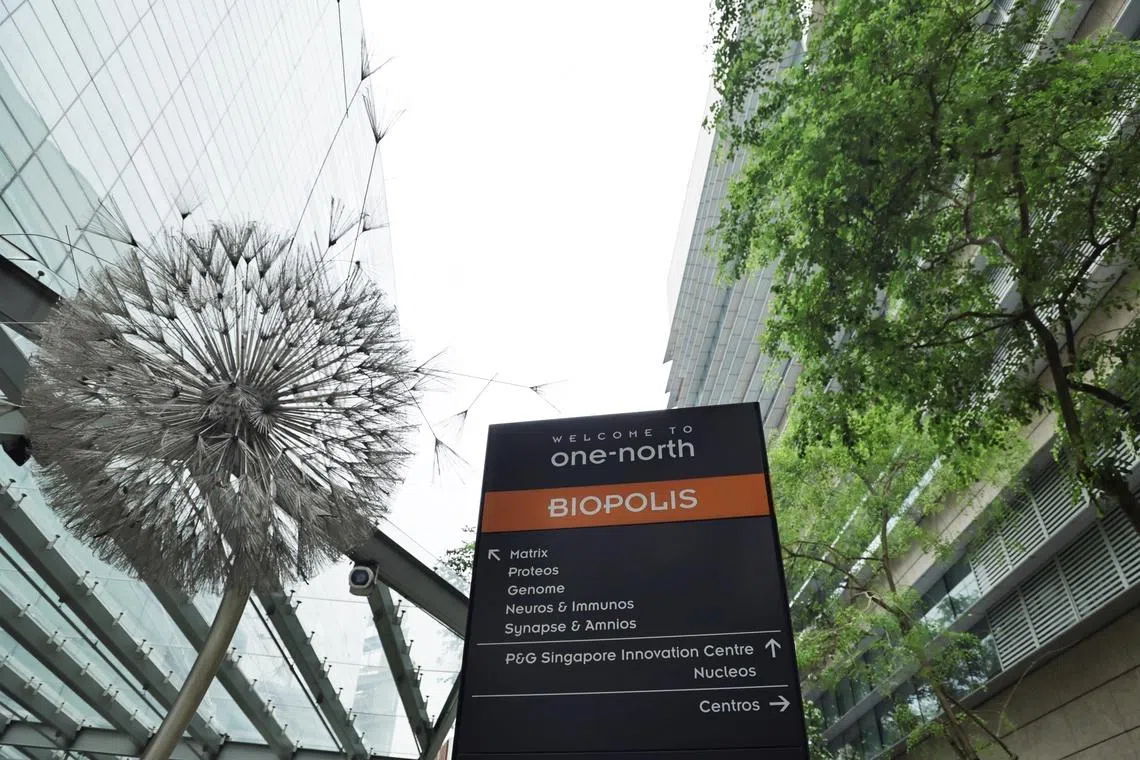 ஒன் நார்த்தில் புதிய ‘ஏஐ’ பூங்கா 