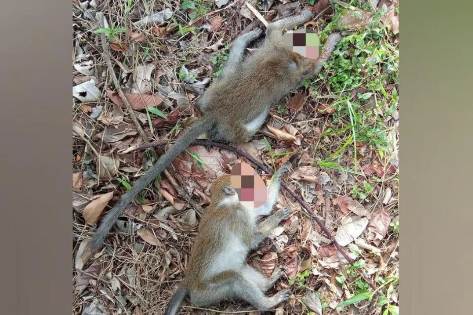 ceab1ab0-89a9-4e33-add7-4f28f2fb2b2f