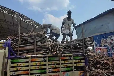 சமையல் எரிவாயுத் தட்டுப்பாட்டால் உணவகங்கள் பல விறகடுப்புக்கு மாறி வருகின்றன. அதையடுத்து விறகு விற்பனை சூடுபிடித்துள்ளது.