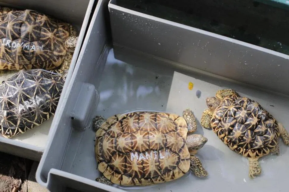 1db2fa86-17ea-46cb-be7d-072a0359a7d9