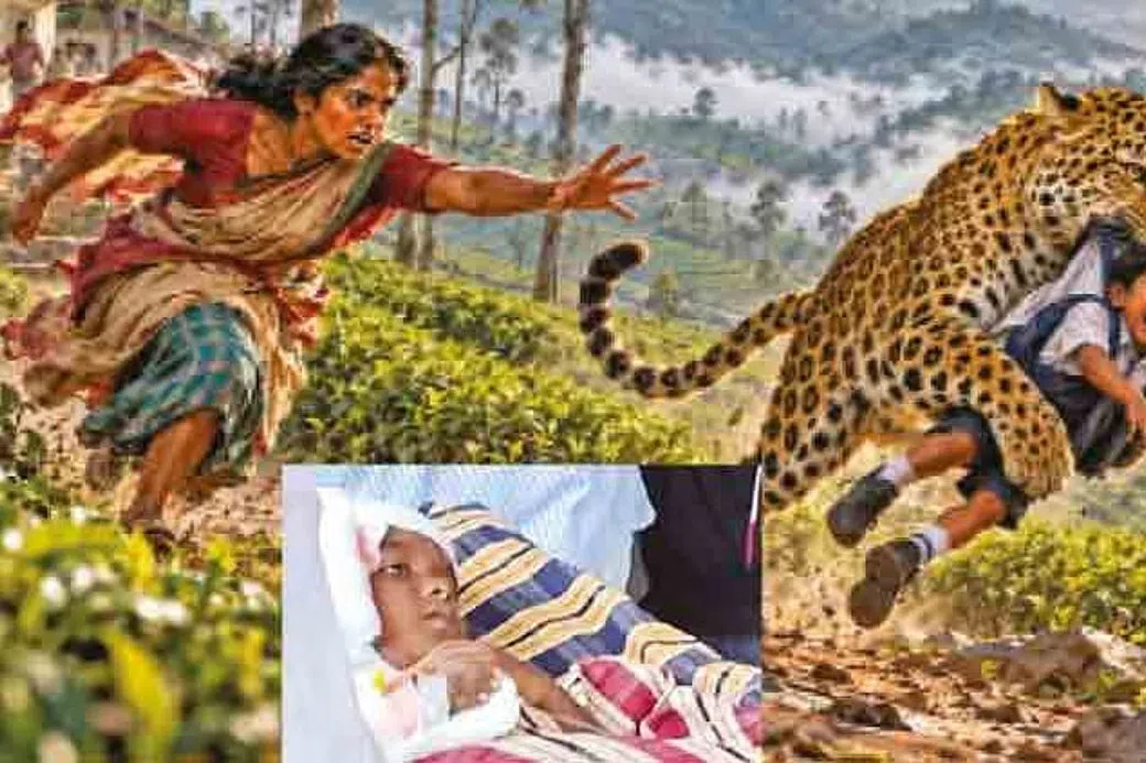 சிறுத்தையிடமிருந்து மகனைப் போராடி மீட்ட தாய்