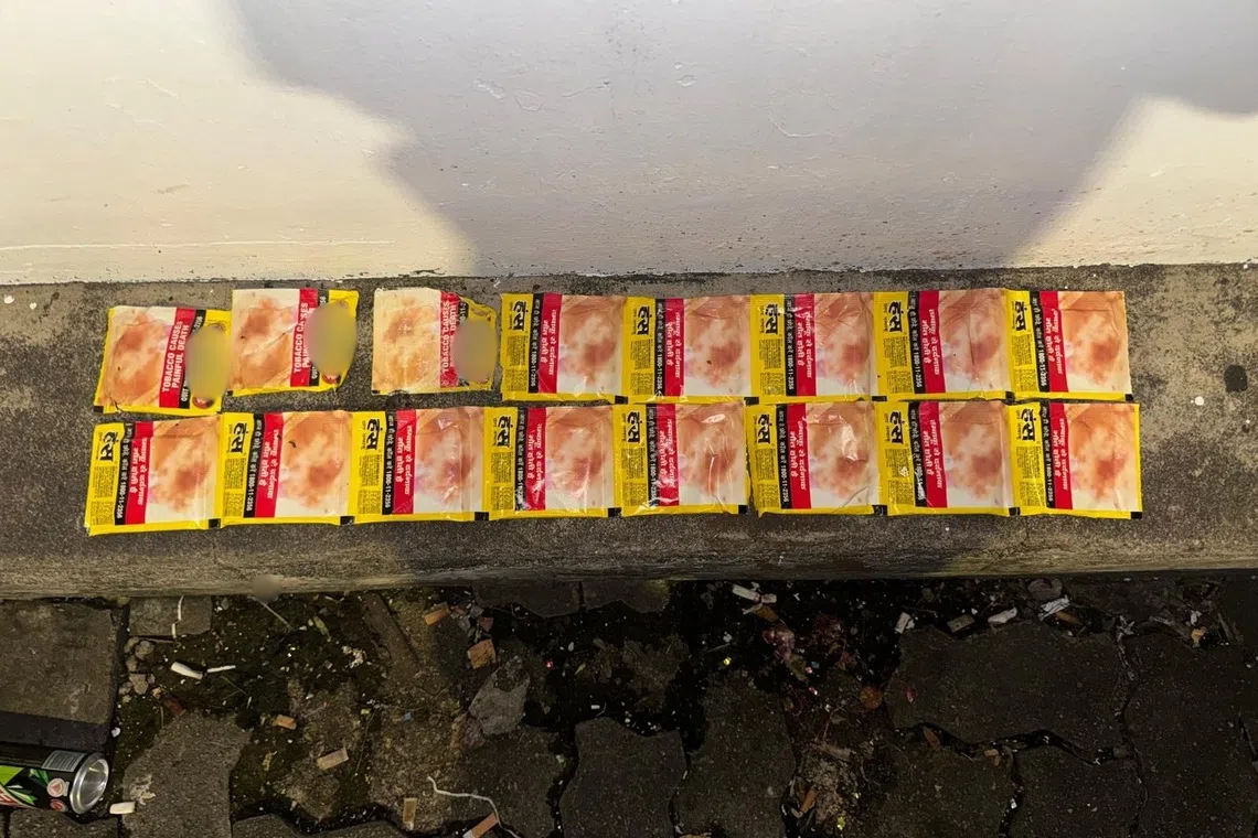 லிட்டில் இந்தியாவில் மெல்லும் புகையிலை வைத்திருந்தவருக்கு $2,000 வரை அபராதம்