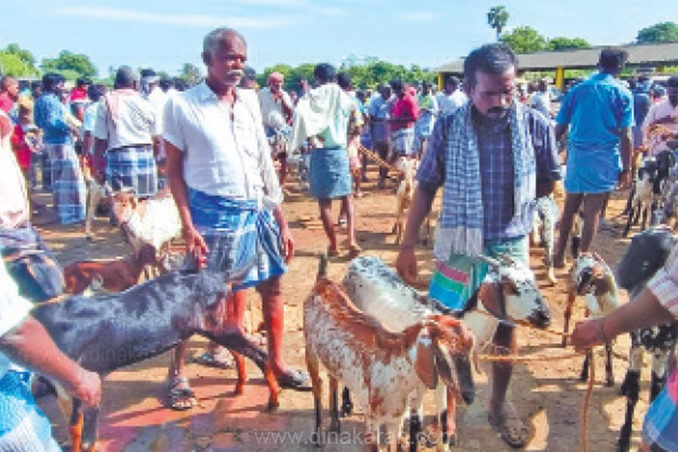 எட்டயபுரம் சந்தையில் ரூ.6 கோடிக்கு மேல் ஆடுகள் விற்பனை ஆனது.