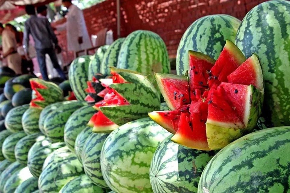வெயிலின் ஆட்டம் ஆண்டுதோறும் வேகமெடுக்கிறது.