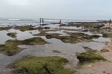 உள்வாங்கிய திருச்செந்தூர் கடல்.