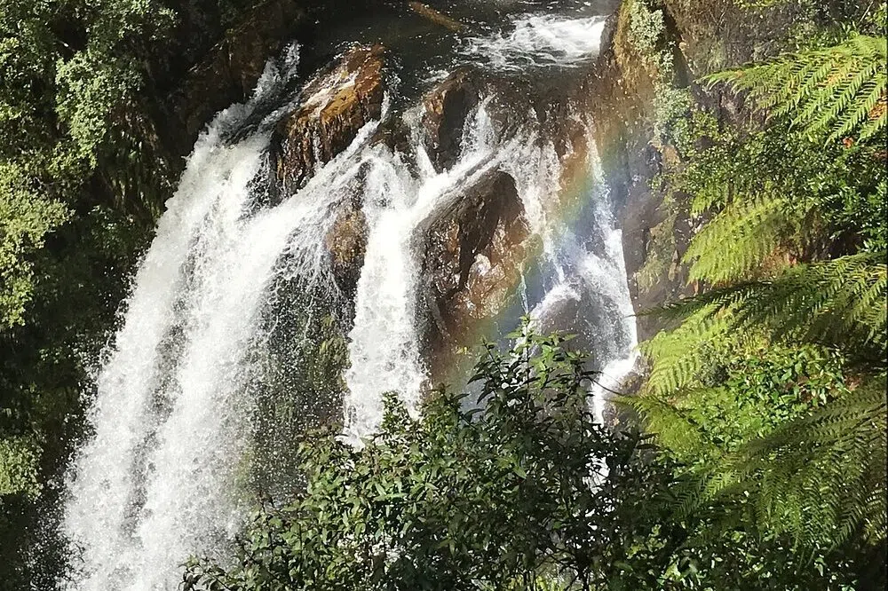 காணாமற்போன பெண்ணின் கைப்பேசி ஈராண்டுகளுக்குப் பிறகு கண்டெடுப்பு