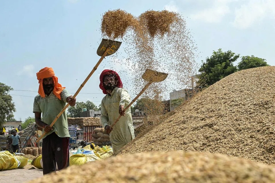 நடப்பு நிதியாண்டின் ஏப்ரல் முதல் ஆகஸ்ட் வரை இந்தியாவின் அரிசி ஏற்றுமதி மதிப்பு 4.7 பில்லியன் அமெரிக்க டாலராக அதிகரித்தது. 