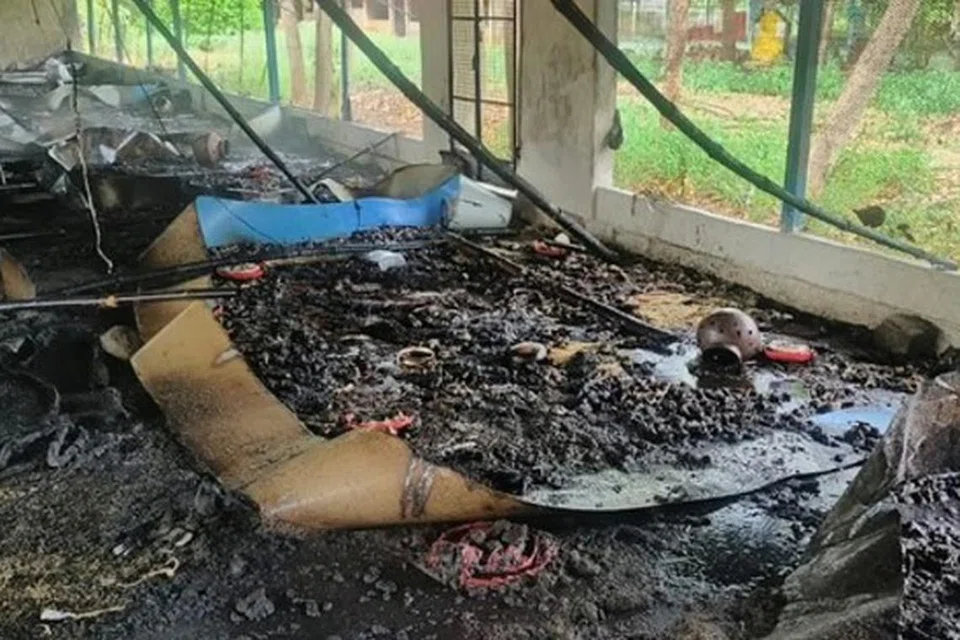 தீவிபத்தில் கருகி மாண்ட கோழிக்குஞ்சுகள்.