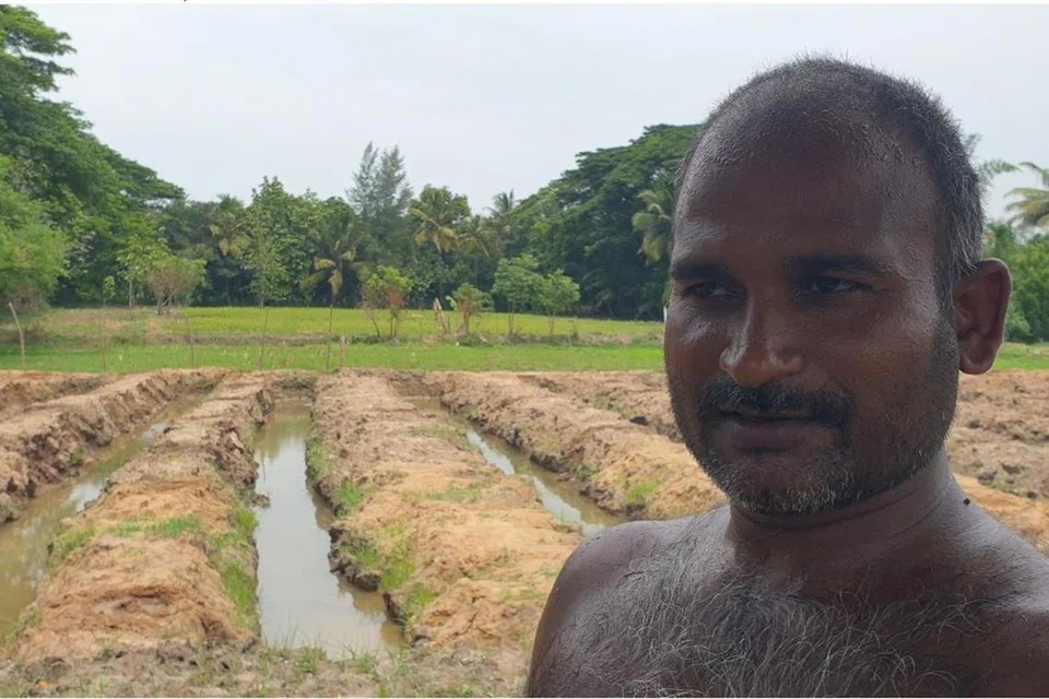 என் நிலம் தாழ்வான பகுதியில் இருக்கிறது. அதனால் தண்ணீர் தேங்கும் பிரச்சினை வரும். இதனால் கானு வெட்டி மேல்பட்ட வரப்பில் மலைவேம்பு வளர்க்கிறேன் என்றார் திரு பாலமுருகன்,