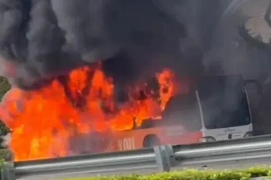 விரைவுச்சாலையில் தீயில் கருகிய பேருந்து