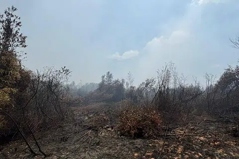 புங்காய் பகுதியில் தீ மூண்டது.