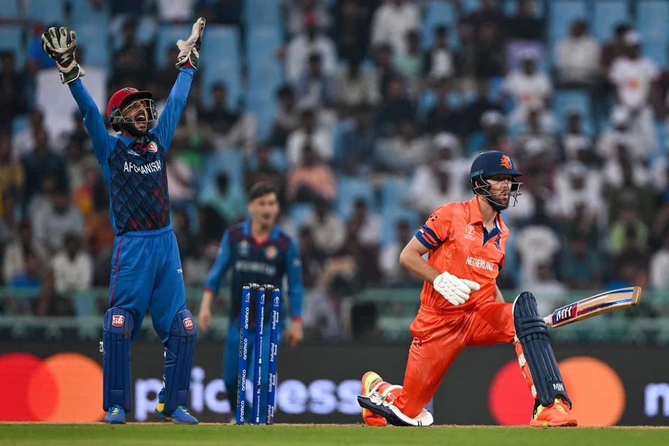 இதுவரை ஏழு ஆட்டங்களில் விளையாடியுள்ள ஆப்கானிஸ்தான் அணி நான்கில் வெற்றிபெற்றுள்ளது. 