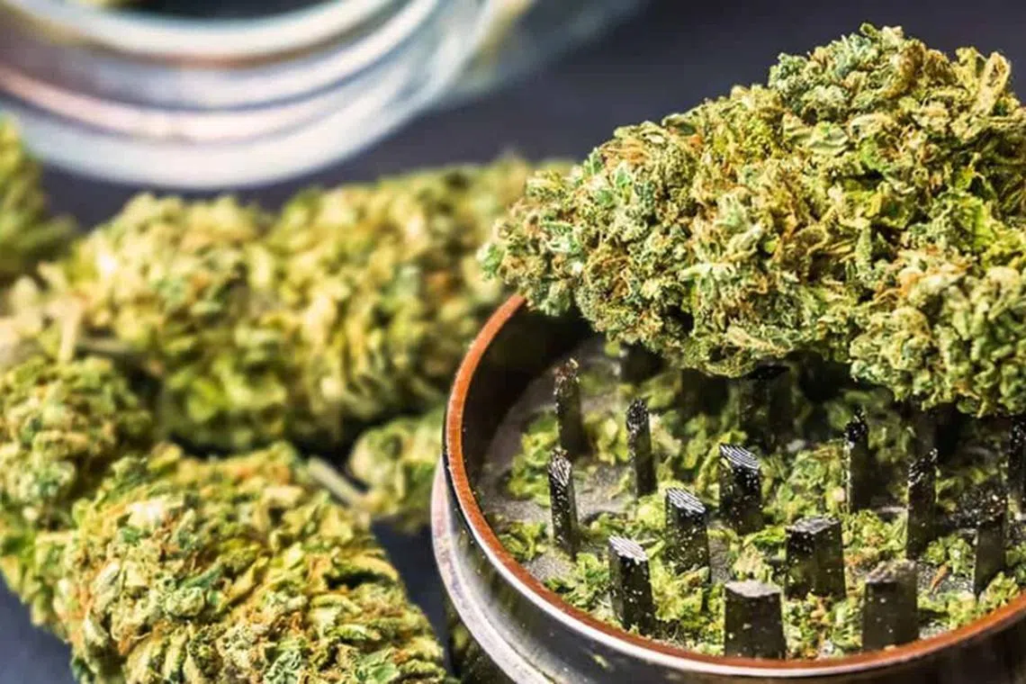 ரூ.14 கோடி மதிப்புள்ள 40 கிலோ கஞ்சா ஹைதராபாத்தில் பறிமுதல்; பெண் கைது