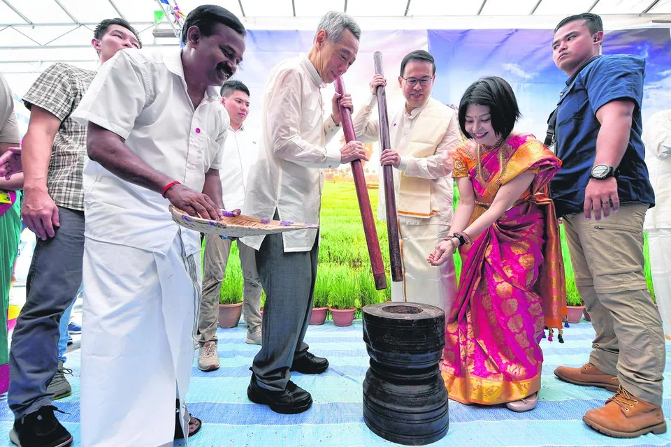 உரலில் நெல் குத்துகிறார் பிரதமர்.