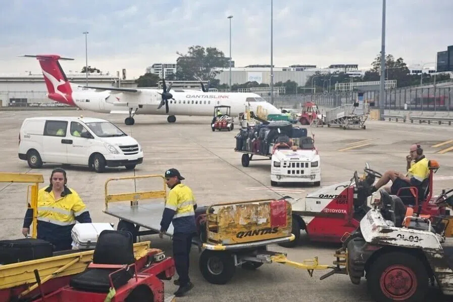 சோளப்பொரி பைகள்மூலம் விலங்குக் கடத்தல்; ஆடவருக்குச் சிறை