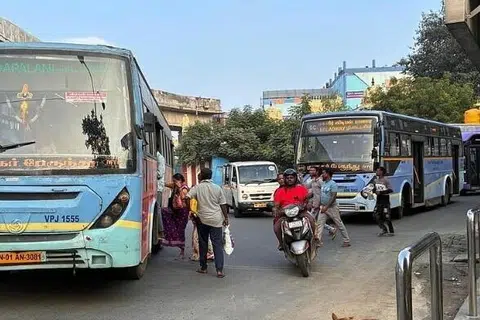 சாதாரணக் கட்டணம் வசூலிக்கும் பேருந்துகளில் மட்டும் சலுகை வழங்கப்படுவதாக அறிவிக்கப்பட்டுள்ளது.
