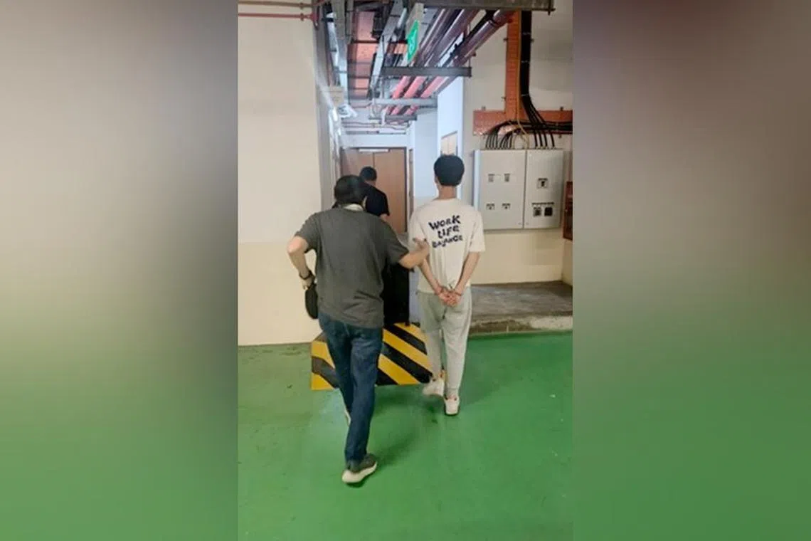 பாலியல் சேவைக்கு ஜப்பானிய மாதர்; ஆடவருக்கு சிறை