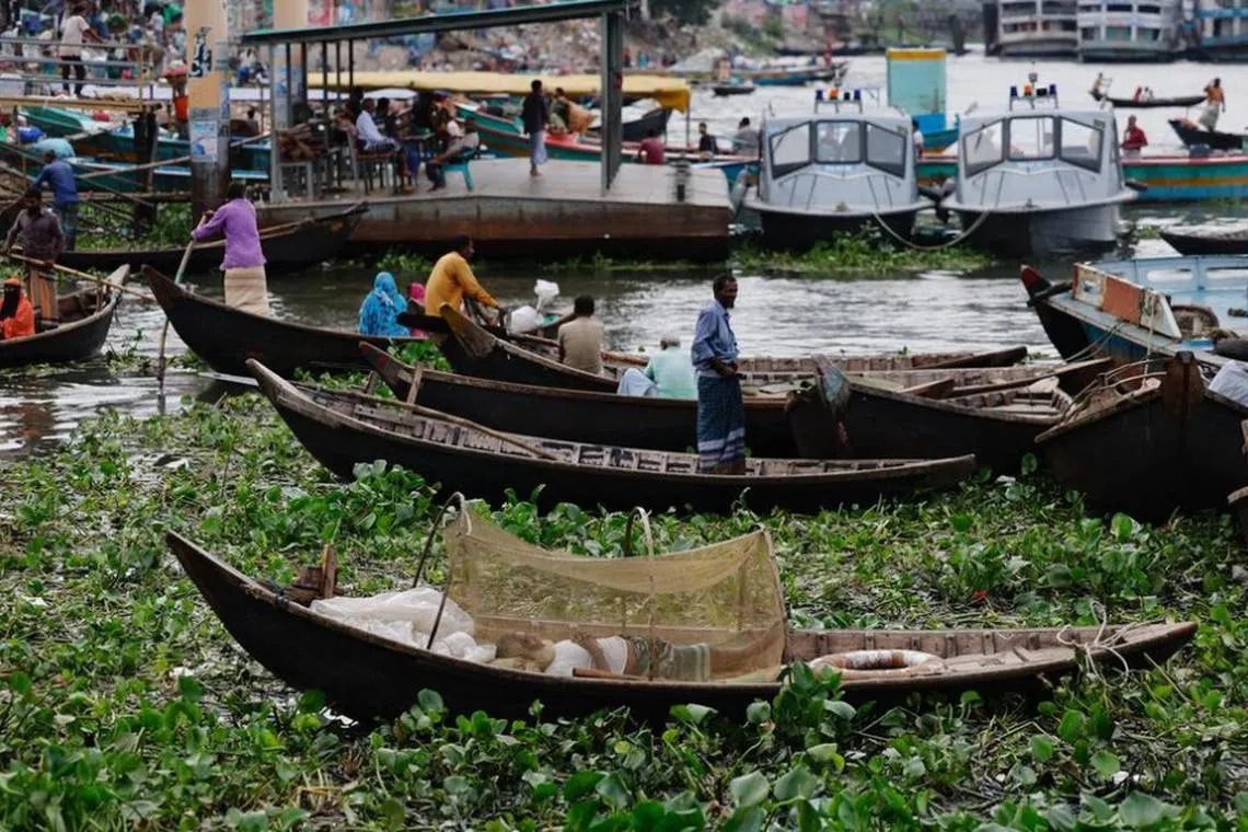 பங்ளாதேஷில் டெங்கி பெருக்கம், 101 பேர் மரணம்
