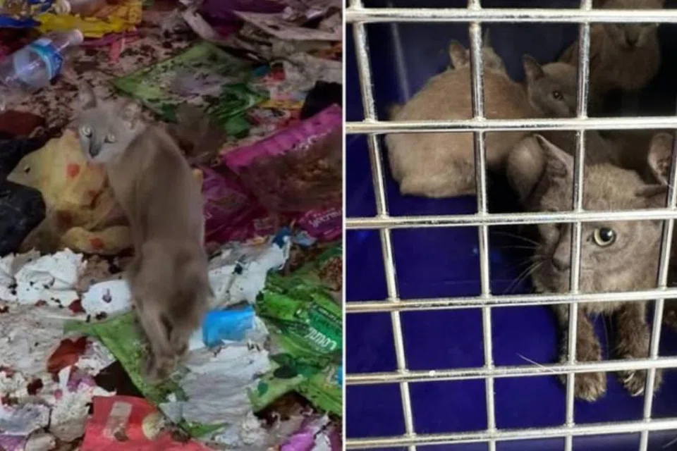 723dae70-0eef-4e50-9b3a-8366383b8793