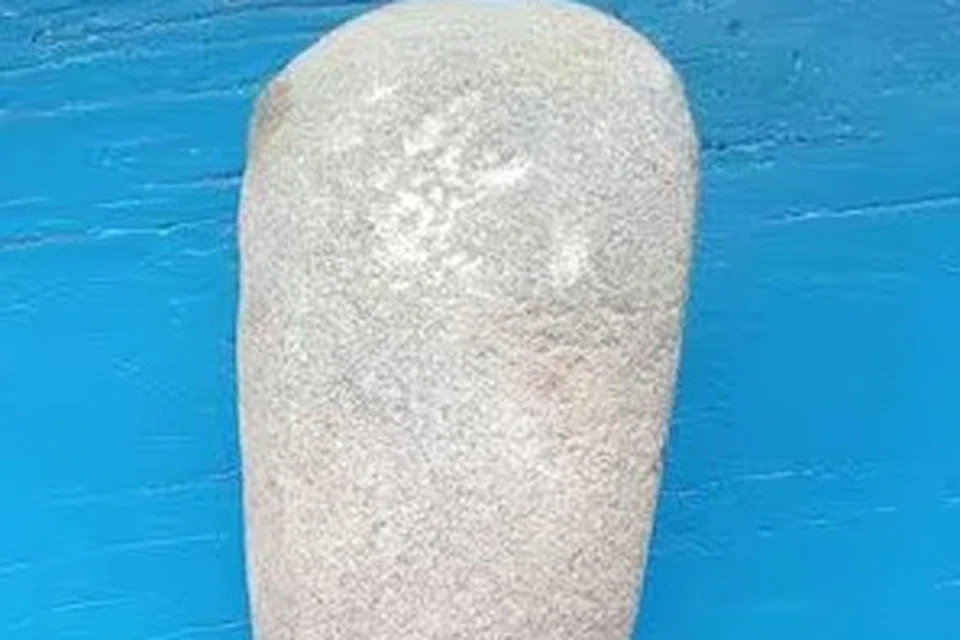 விழுப்புரத்தில் கண்டெடுக்கப்பட்ட கற்கோடாரி.