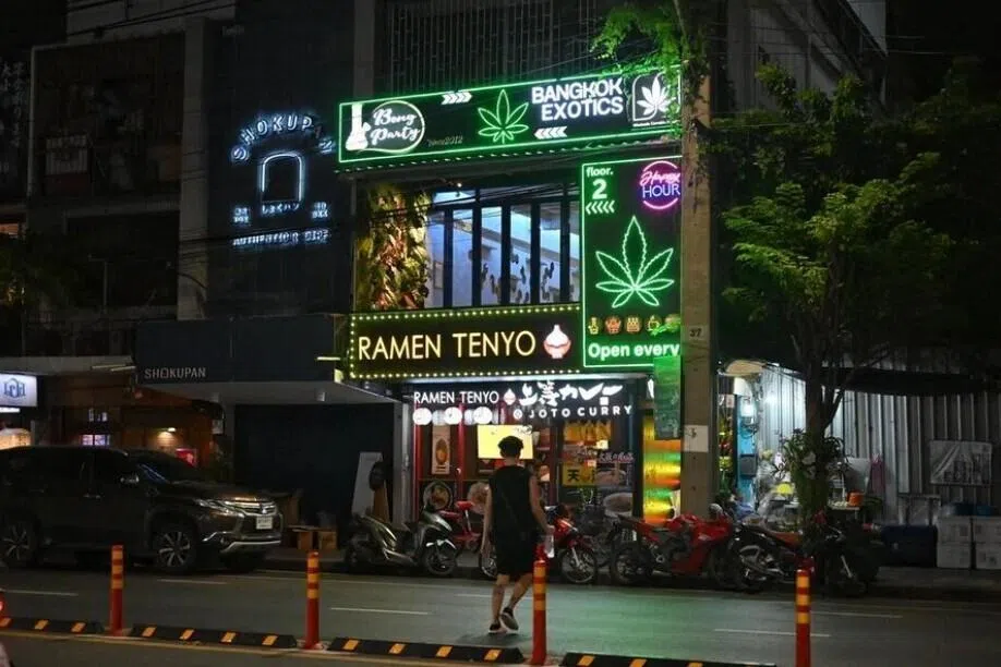 கஞ்சா விற்பனையைச் சட்டவிரோதமாக்க தாய்லாந்து திட்டம்