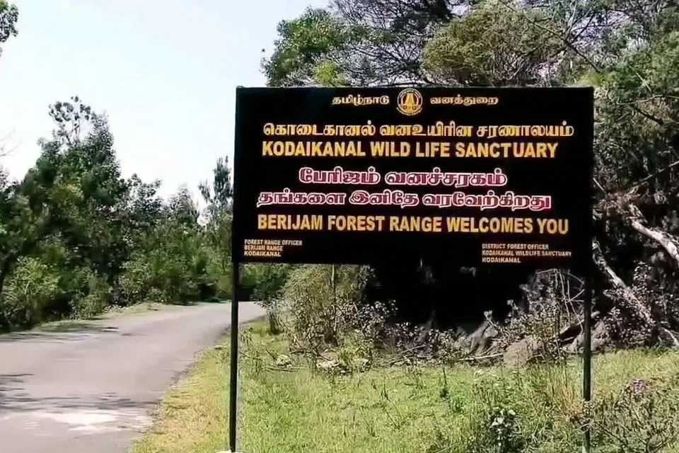 கொடைக்கானலில் முக்கிய சுற்றுலாப் பகுதிகளில் ஒன்றான  பேரிஜம் ஏரிப் பகுதியில் காட்டு யானைகள் முகாமிட்டுள்ளதால், அங்கு செல்வதற்கு, தற்காலிகமாகத் தடை விதிக்கப்பட்டுள்ளது.