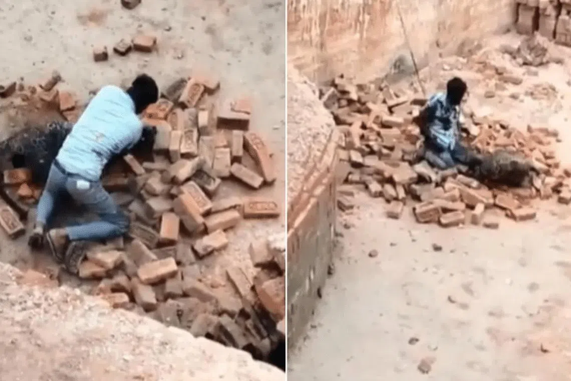 சிறுத்தையை வெறுங்கையால் அடித்து விரட்டிய இந்திய ஆடவர்