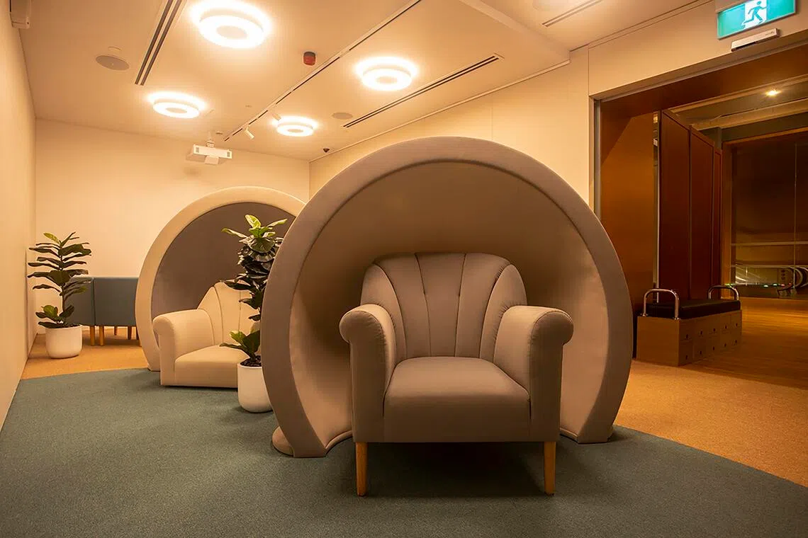 ஆசியாவின் முதலாவது உன்னத சிகிச்சைக் கலை நிலையமாக தேசிய கலைக்கூடம்