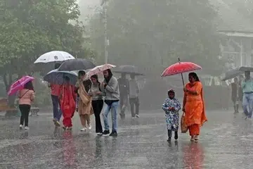 கோவை, நீலகிரி, ஈரோடு, திருப்பத்துார், வேலுார், ராணிப்பேட்டை மாவட்டங்களில் ஒருசில இடங்களில் கனமழை பெய்யக்கூடும் என எதிர்பார்க்கப்படுகிறது என்று வானிலை ஆய்வு மையம் தெரிவித்துள்ளது.