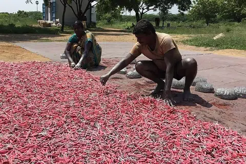 பாதுகாப்பு விதிமீறல்கள் காரணமாகப் பட்டாசு ஆலைகள் நீண்ட காலம் மூடப்பட்டிருந்ததால், உற்பத்தித் திறன் கடுமையாகப் பாதிக்கப்பட்டுள்ளது.