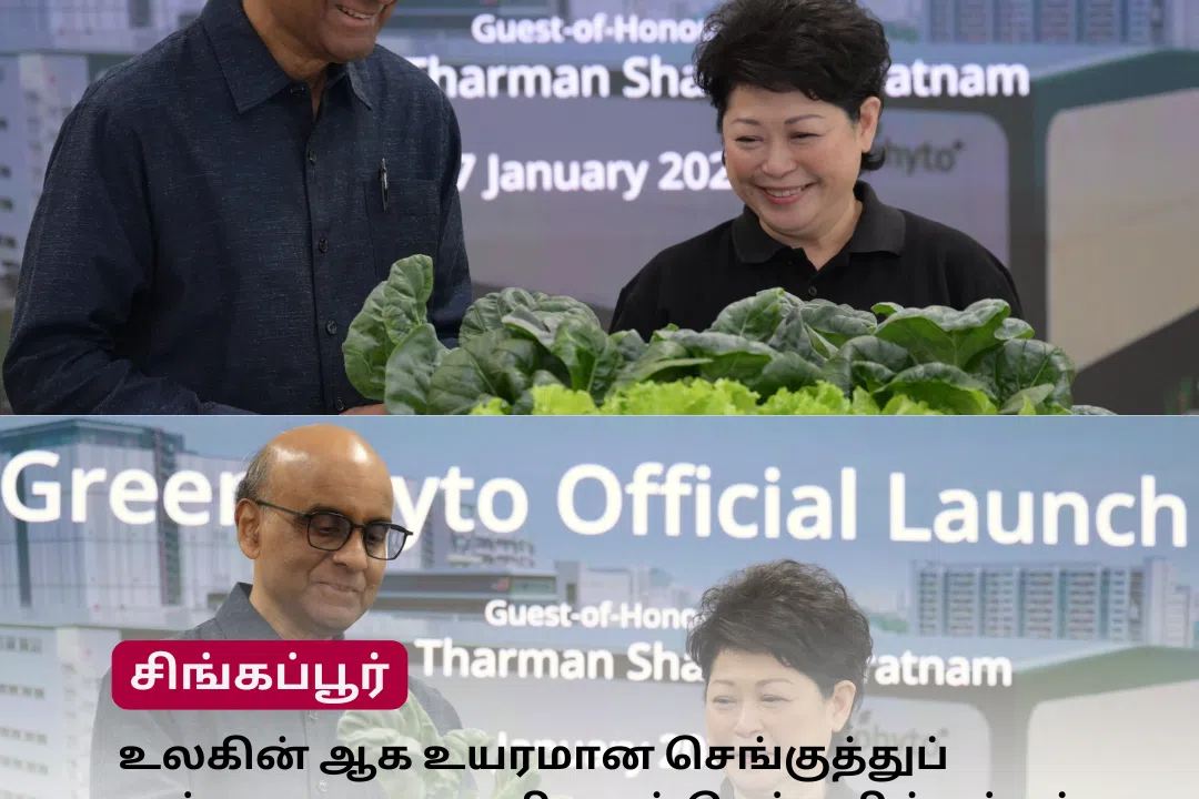 முரசு மேடை: உலகின் ஆக உயரமான செங்குத்துப் பண்ணையை அறிமுகம் செய்த சிங்கப்பூர்