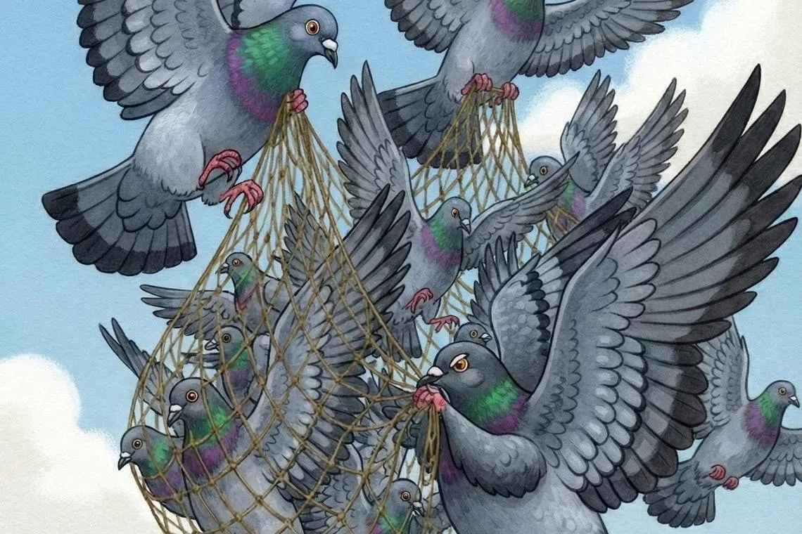 ஒற்றுமையே பலம்