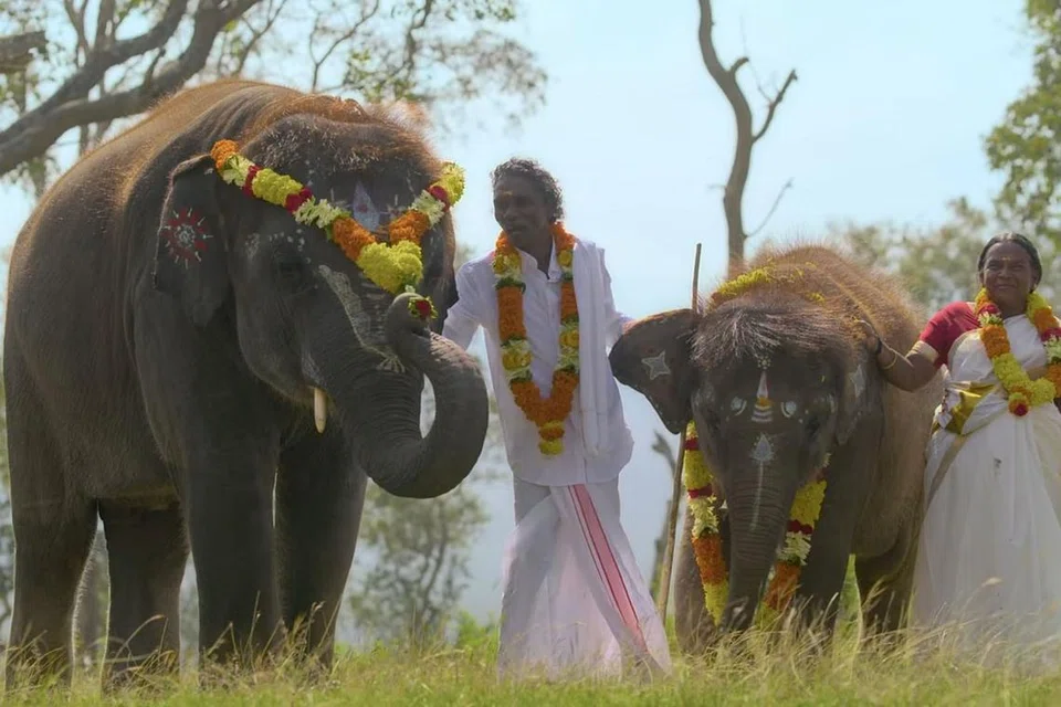 படத்தில் இடம்பெற்ற ஒரு காட்சி