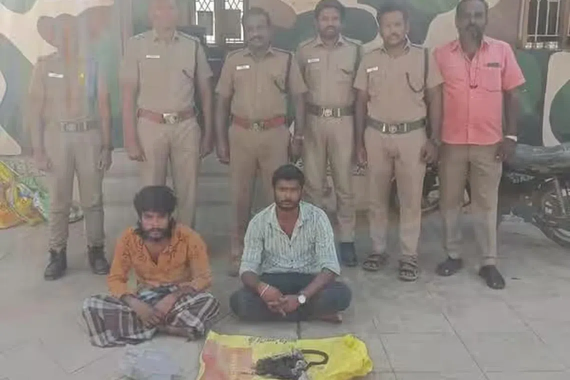 தோட்டத்தில் தொல்லை கொடுத்த குரங்கு; கோபத்தில் சமைத்து சாப்பிட்ட இருவர் கைது