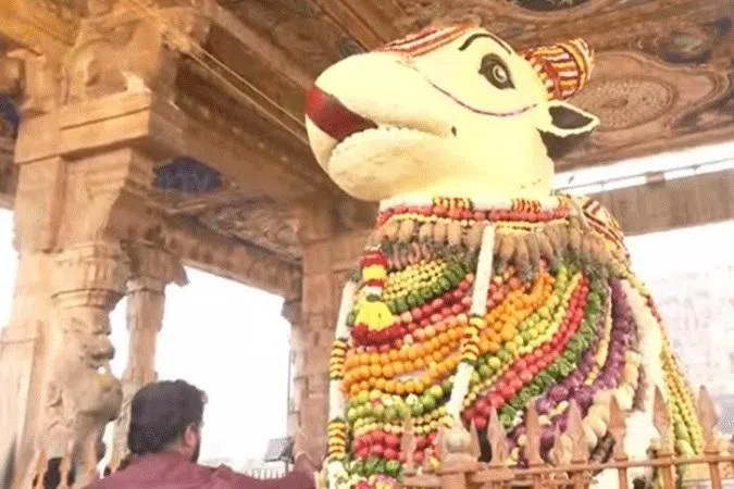 தஞ்சாவூர் பெரிய கோயிலில் சிறப்பாக நடைபெற்ற மாட்டுப் பொங்கல்