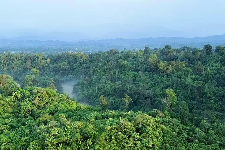 மத்தியப் பிரதேச மாநிலத்தில்தான் ஆக அதிகமாக 5,461 சதுர கிலோமீட்டர் வனப்பகுதி ஆக்கிரமிக்கப்பட்டுள்ளது. 