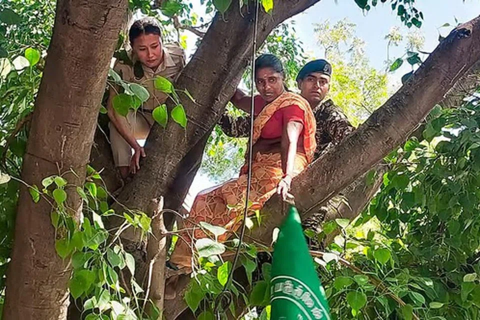 மரத்தில் ஏறிநின்று போராட்டம் நடத்திய பெண்கள் வலுக்கட்டாயமாக கீழே இறக்கப்பட்டனர்.