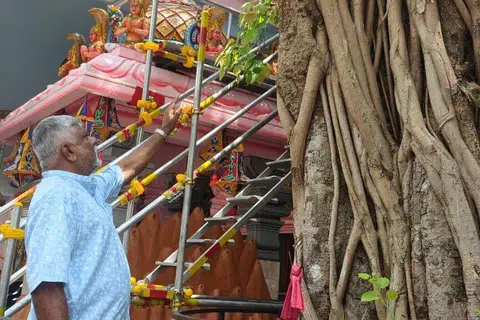 நூறாண்டுகள் கடந்து தரும முனீஸ்வரன் ஆலயத்தில் கம்பீரமாக வீற்றிருக்கும் அரசமரத்தின் அருகில் ஆலய மேலாண்மைக் குழுத் தலைவர் வேலப்பன் துரைசாமி.