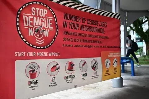 எல் நினோ நேரடியாக நோயை உண்டாக்காது என்றாலும், டெங்கி போன்ற கொசுக்களால் பரவும் நோய்கள் பரவுவதற்குச் சாதகமான சூழலை அது உருவாக்கக்கூடும்.